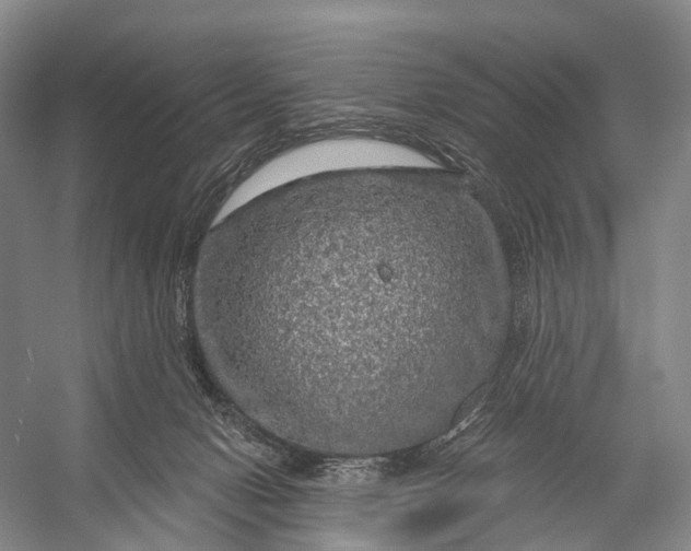 X0000056330078200509161720