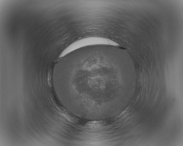 X0000056330082200509161720