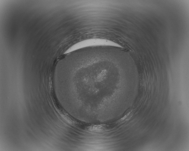 X0000056330086200509161721