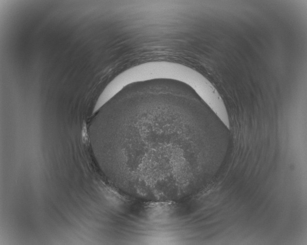 X0000056330089200509161721