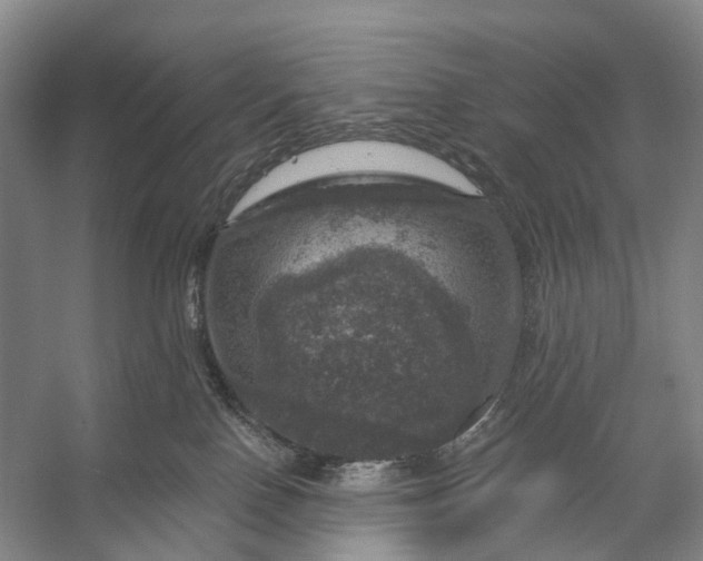 X0000056330090200509161721