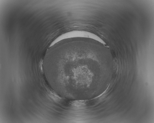 X0000056330094200509161721