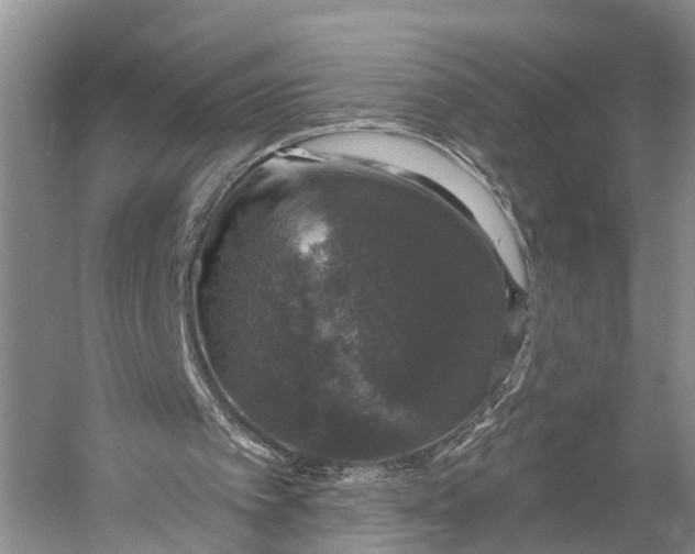 X0000056330097200509161720