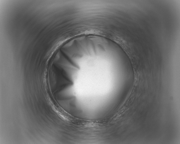 X0000056330098200509161720