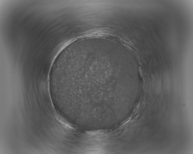 X0000056330100200509161720