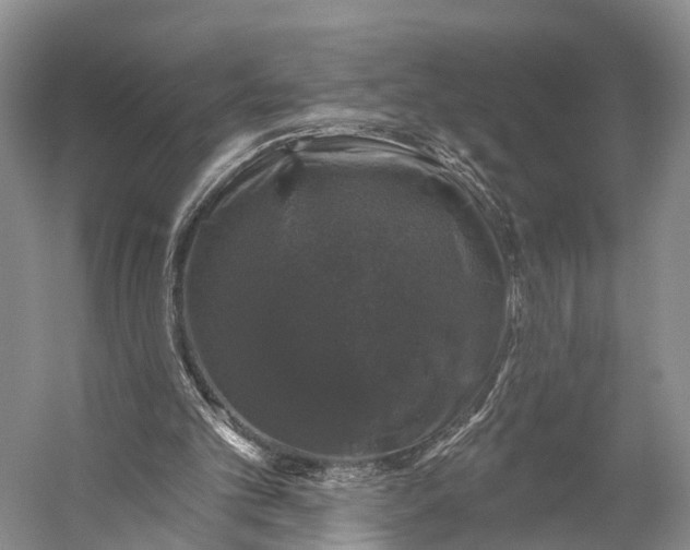 X0000056330101200509161720