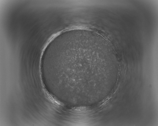 X0000056330104200509161720