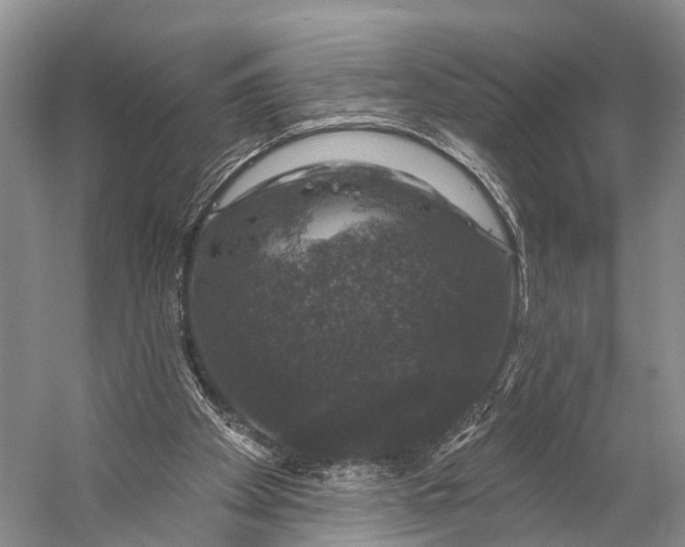 X0000056330105200509161720