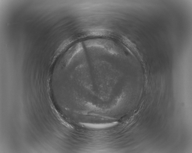 X0000056330106200509161720