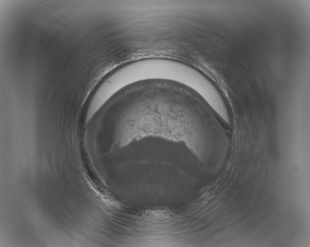 X0000056330107200509161720