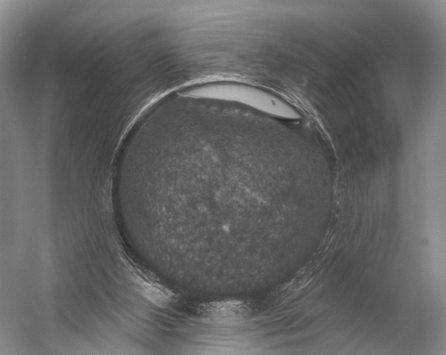 X0000056330108200509161720