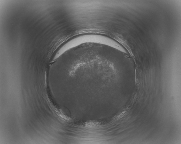 X0000056330109200509161720