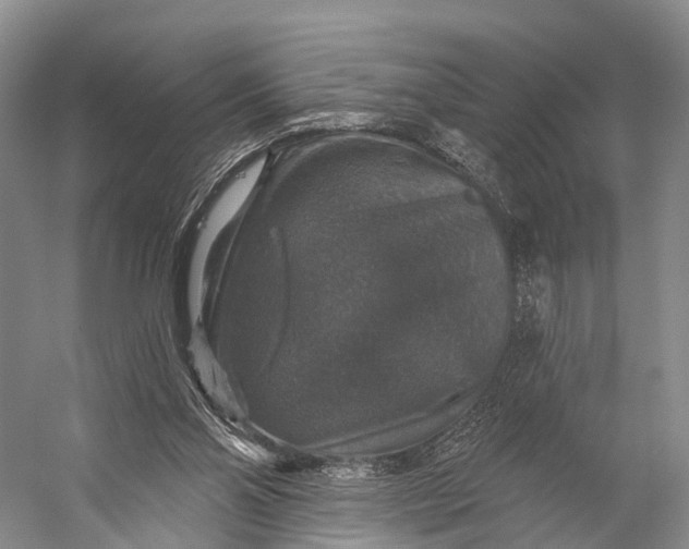 X0000056330110200509161720