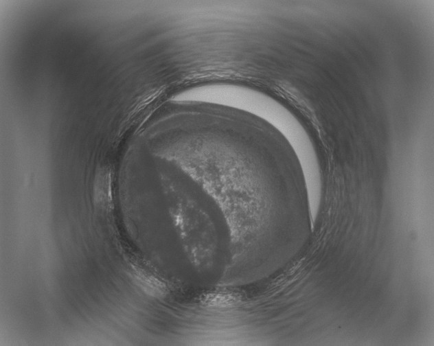 X0000056330115200509161720