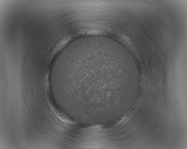 X0000056330116200509161720