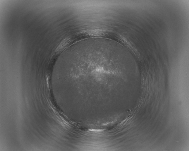 X0000056330117200509161720