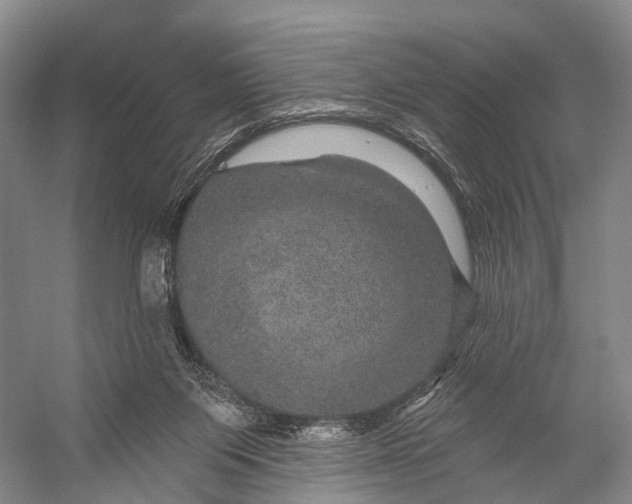 X0000056330119200509161720