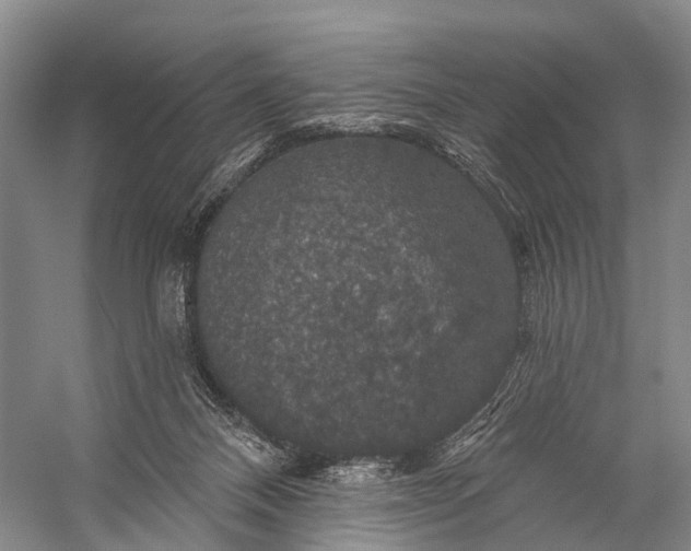 X0000056330120200509161719