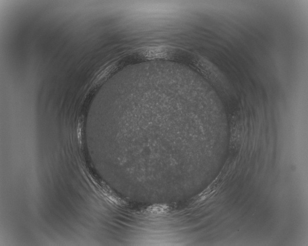 X0000056330124200509161719