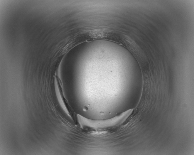 X0000056330125200509161719