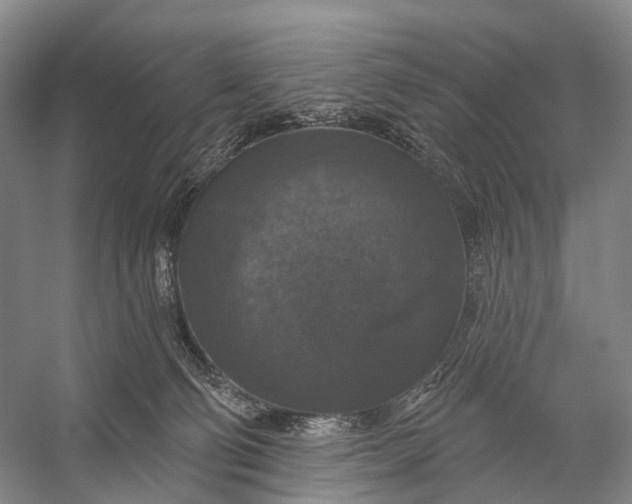 X0000056330130200509161719