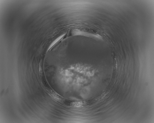 X0000056330131200509161719