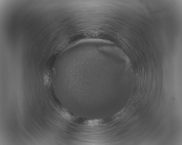 X0000056330134200509161719