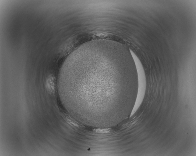 X0000056330135200509161719