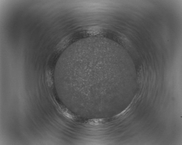 X0000056330136200509161719