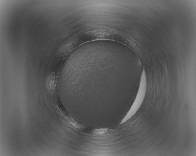 X0000056330137200509161719