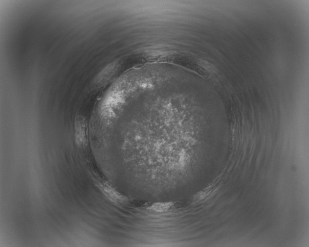 X0000056330138200509161719