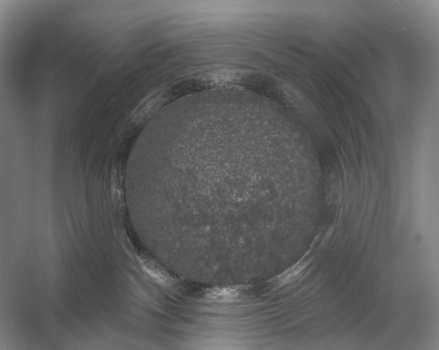 X0000056330140200509161719