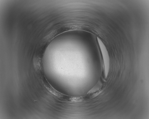 X0000056330141200509161719