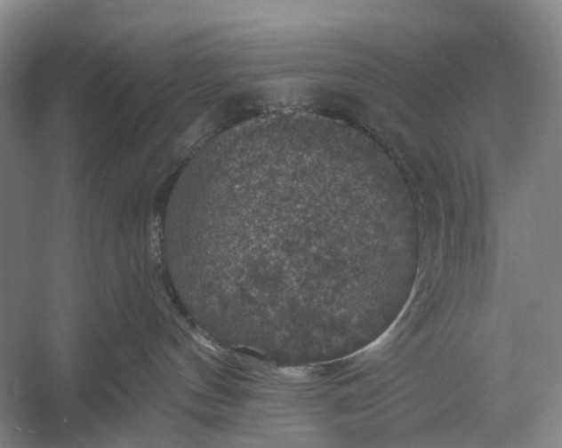 X0000056330144200509161719