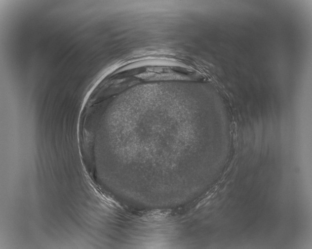 X0000056330148200509161718