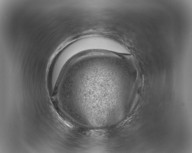 X0000056330150200509161718