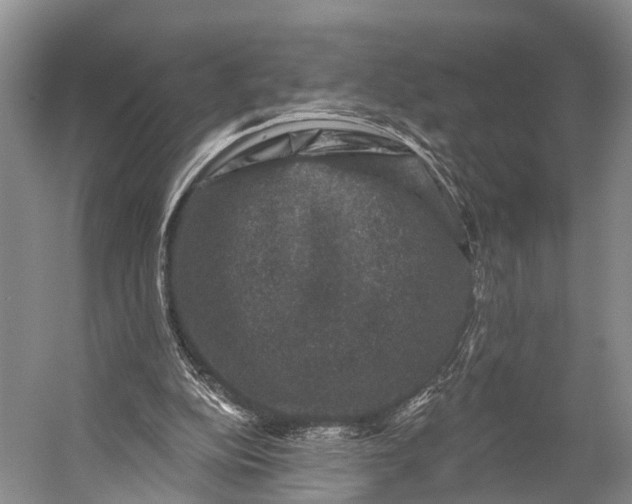 X0000056330152200509161718