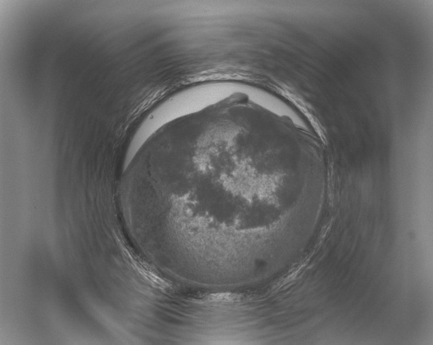 X0000056330153200509161718