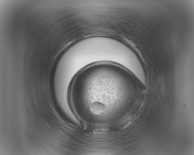 X0000056330154200509161718