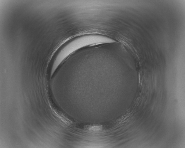 X0000056330156200509161718