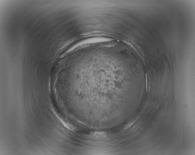 X0000056330157200509161718