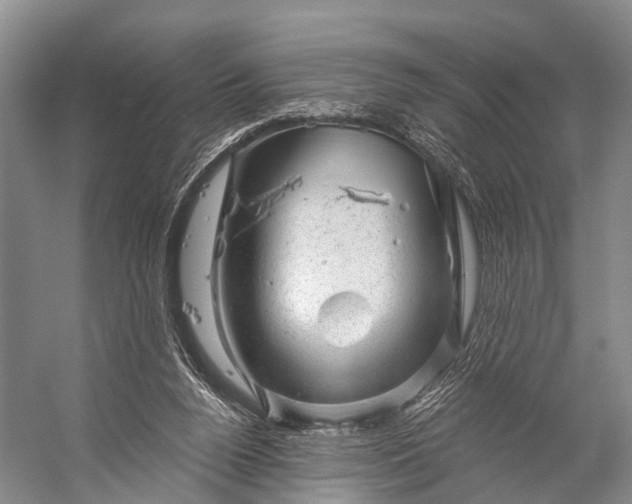 X0000056330160200509161719