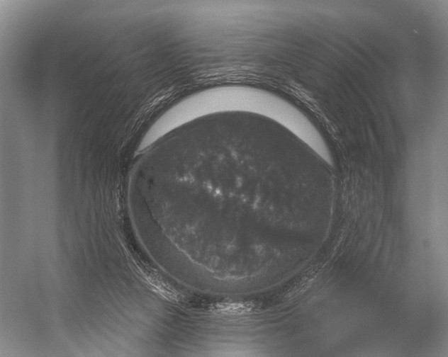 X0000056330161200509161719