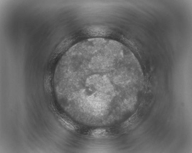 X0000056330162200509161719