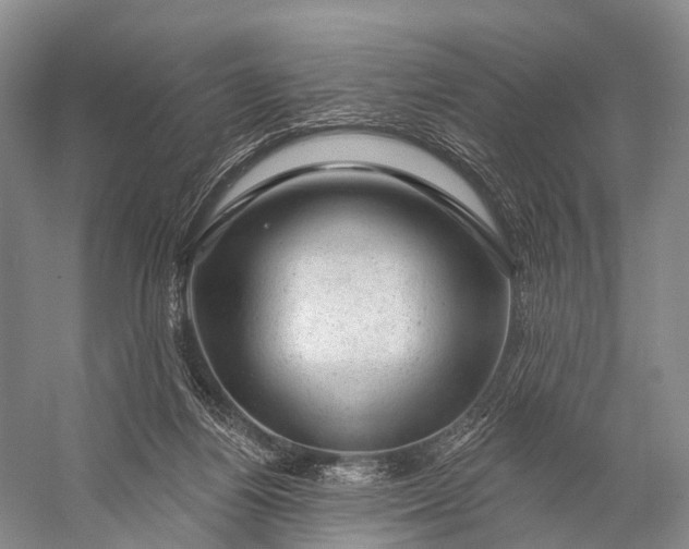 X0000056330164200509161719