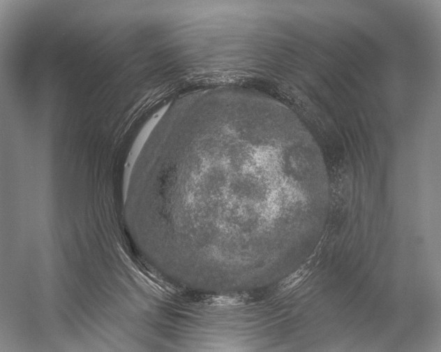 X0000056330166200509161719