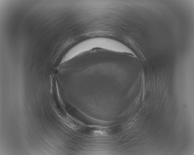 X0000056330167200509161719