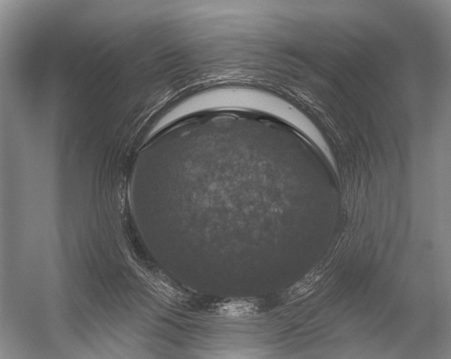 X0000056330168200509161719