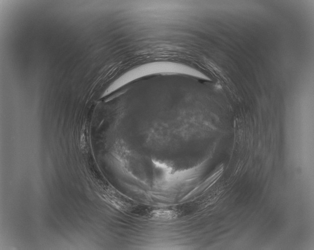 X0000056330169200509161719