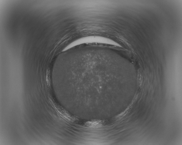 X0000056330170200509161719